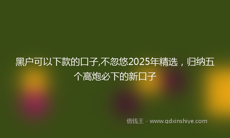 黑户可以下款的口子,不忽悠2025年精选，归纳五个高炮必下的新口子