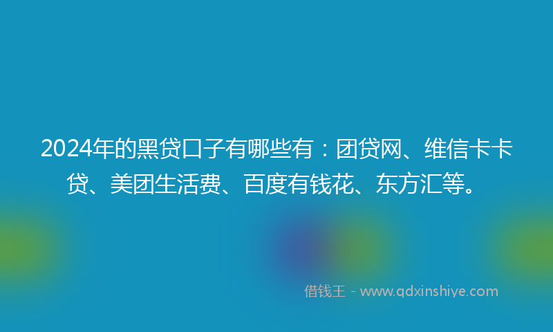 2024年的黑贷口子有哪些有：团贷网、维信卡卡贷、美团生活费、百度有钱花、东方汇等。