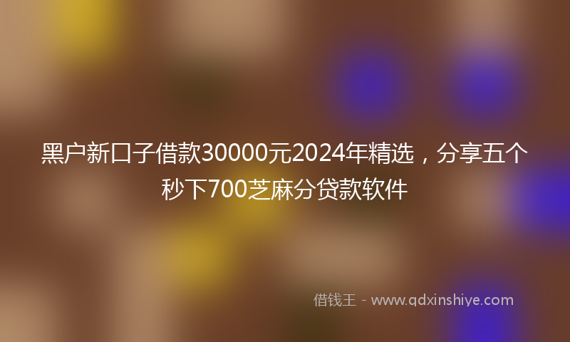 黑户新口子借款30000元2024年精选，分享五个秒下700芝麻分贷款软件