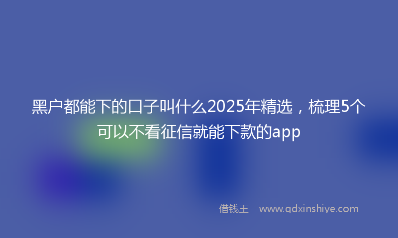 黑户都能下的口子叫什么2025年精选，梳理5个可以不看征信就能下款的app