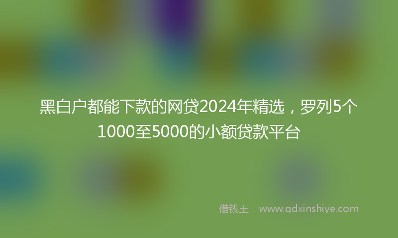 黑白户都能下款的网贷2024年精选，罗列5个1000至5000的小额贷款平台