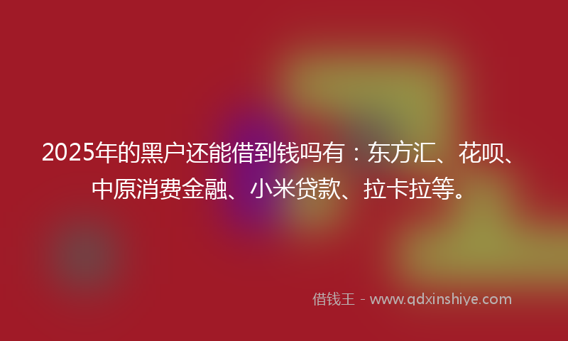 2025年的黑户还能借到钱吗有：东方汇、花呗、中原消费金融、小米贷款、拉卡拉等。