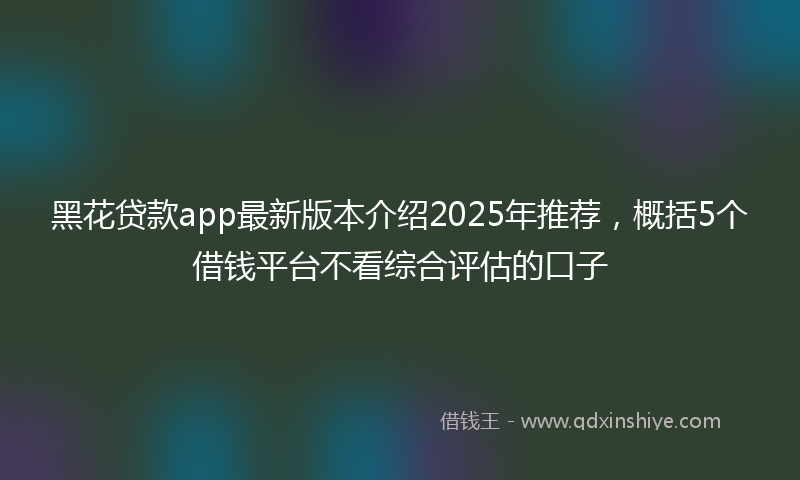 黑花贷款app最新版本介绍2025年推荐，概括5个借钱平台不看综合评估的口子