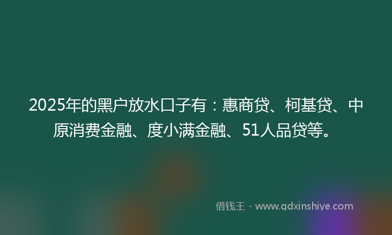 2025年的黑户放水口子有：惠商贷、柯基贷、中原消费金融、度小满金融、51人品贷等。