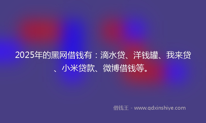 2025年的黑网借钱有：滴水贷、洋钱罐、我来贷、小米贷款、微博借钱等。