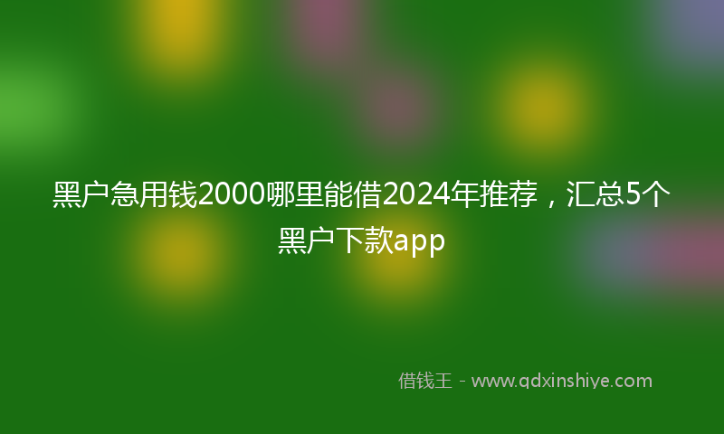 黑户急用钱2000哪里能借2024年推荐，汇总5个黑户下款app
