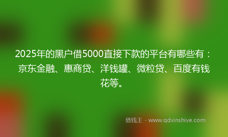 2025年的黑户借5000直接下款的平台有哪些有：京东金融、惠商贷、洋钱罐、微粒贷、百度有钱花等。