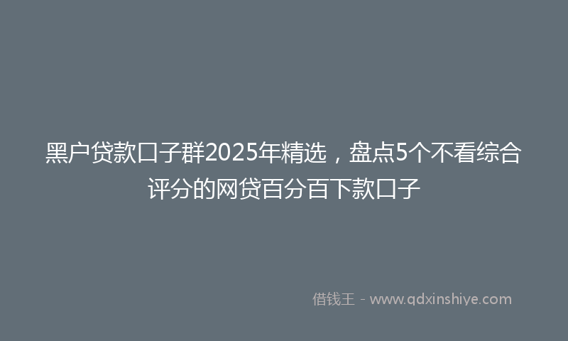 黑户贷款口子群2025年精选，盘点5个不看综合评分的网贷百分百下款口子