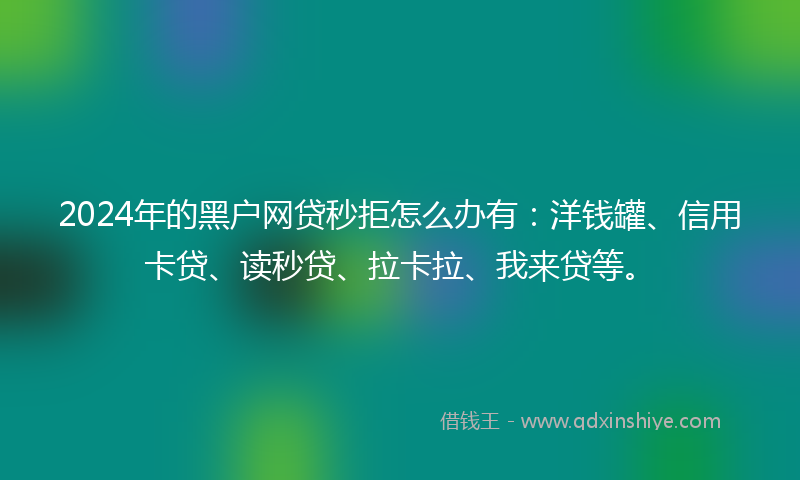 2024年的黑户网贷秒拒怎么办有：洋钱罐、信用卡贷、读秒贷、拉卡拉、我来贷等。