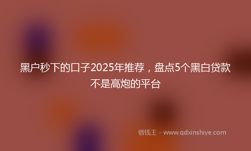 黑户秒下的口子2025年推荐，盘点5个黑白贷款不是高炮的平台