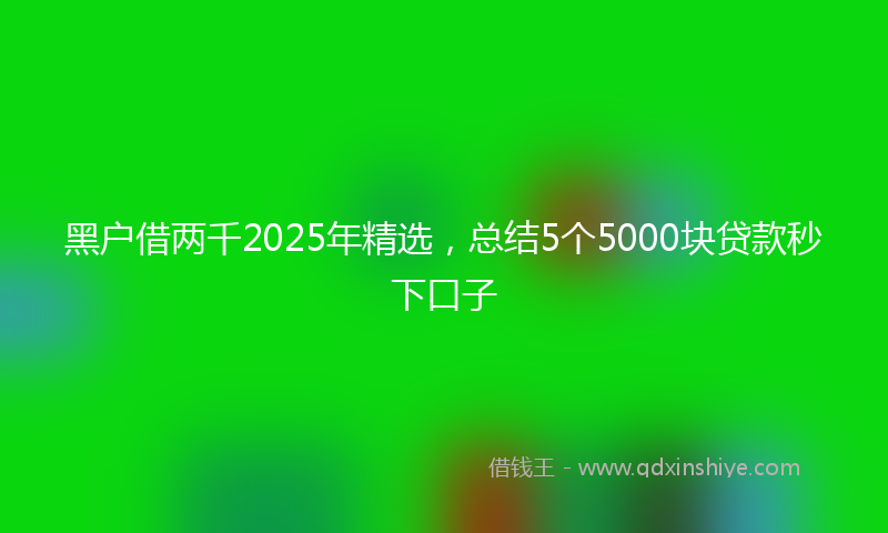 黑户借两千2025年精选，总结5个5000块贷款秒下口子