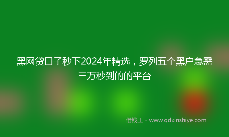 黑网贷口子秒下2024年精选，罗列五个黑户急需三万秒到的的平台