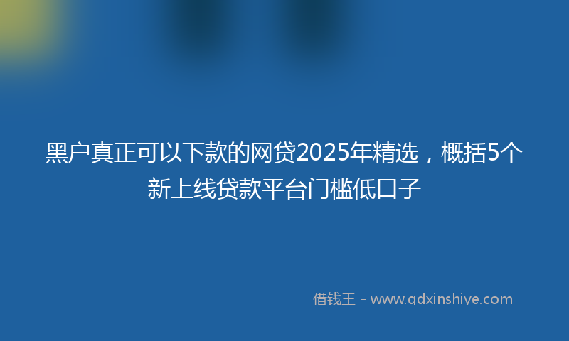 黑户真正可以下款的网贷2025年精选，概括5个新上线贷款平台门槛低口子