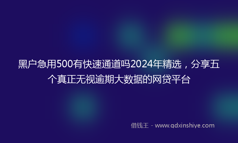 黑户急用500有快速通道吗2024年精选，分享五个真正无视逾期大数据的网贷平台