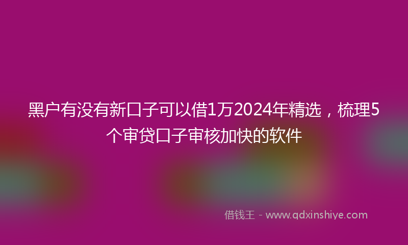 黑户有没有新口子可以借1万2024年精选，梳理5个审贷口子审核加快的软件