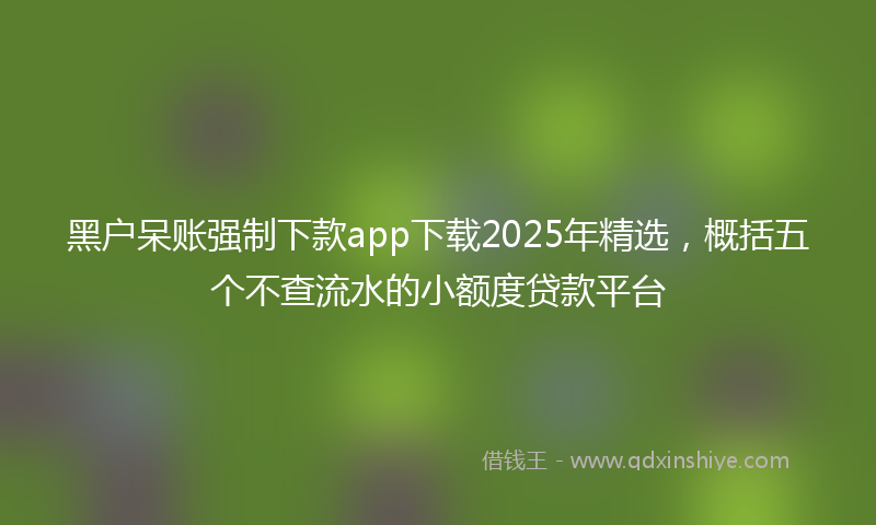 黑户呆账强制下款app下载2025年精选，概括五个不查流水的小额度贷款平台