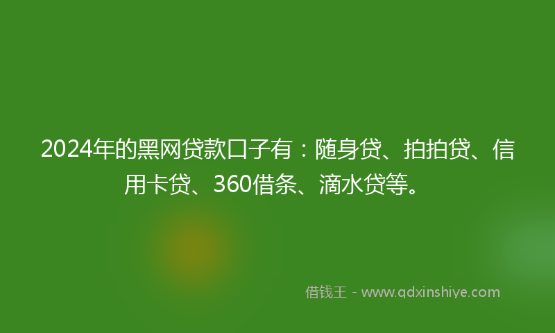 2024年的黑网贷款口子有：随身贷、拍拍贷、信用卡贷、360借条、滴水贷等。