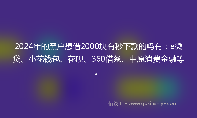 2024年的黑户想借2000块有秒下款的吗有：e微贷、小花钱包、花呗、360借条、中原消费金融等。