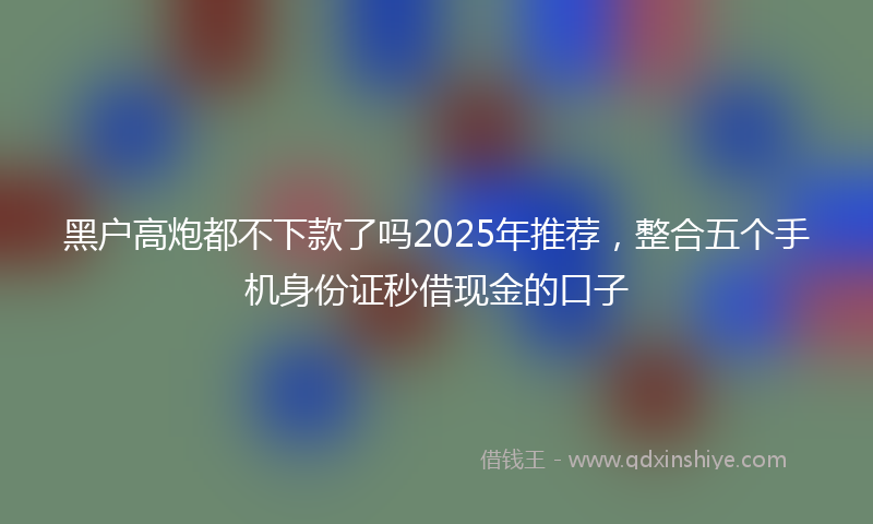 黑户高炮都不下款了吗2025年推荐，整合五个手机身份证秒借现金的口子