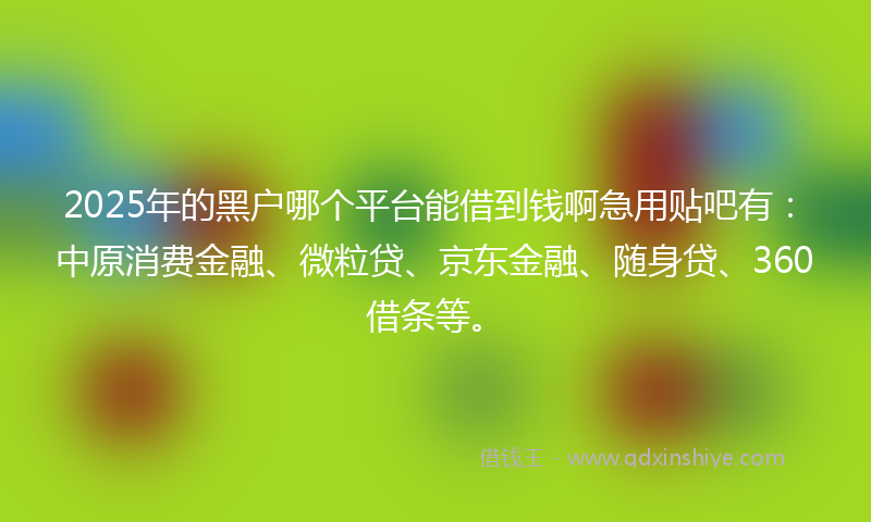 2025年的黑户哪个平台能借到钱啊急用贴吧有：中原消费金融、微粒贷、京东金融、随身贷、360借条等。