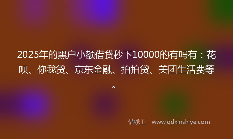 2025年的黑户小额借贷秒下10000的有吗有：花呗、你我贷、京东金融、拍拍贷、美团生活费等。
