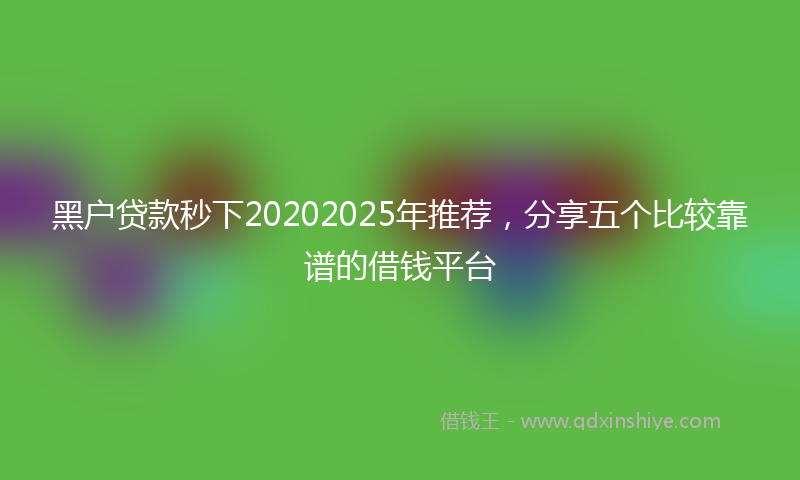 黑户贷款秒下20202025年推荐，分享五个比较靠谱的借钱平台