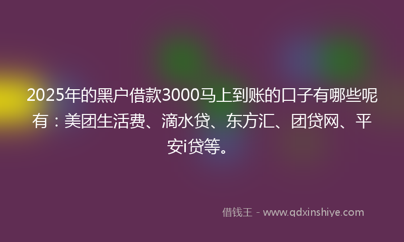 2025年的黑户借款3000马上到账的口子有哪些呢有：美团生活费、滴水贷、东方汇、团贷网、平安i贷等。