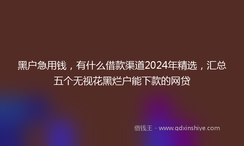 黑户急用钱，有什么借款渠道2024年精选，汇总五个无视花黑烂户能下款的网贷