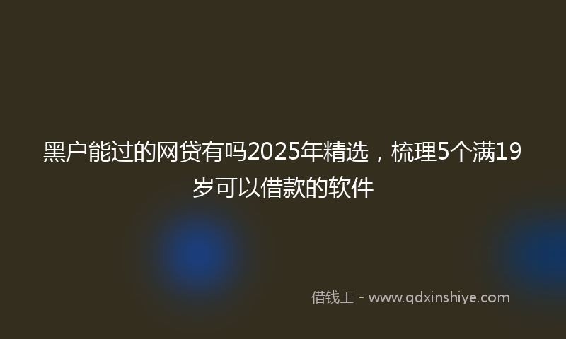 黑户能过的网贷有吗2025年精选，梳理5个满19岁可以借款的软件