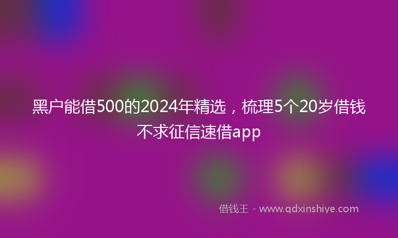 黑户能借500的2024年精选，梳理5个20岁借钱不求征信速借app