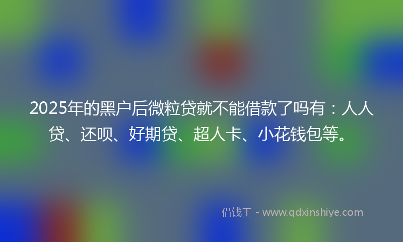 2025年的黑户后微粒贷就不能借款了吗有：人人贷、还呗、好期贷、超人卡、小花钱包等。