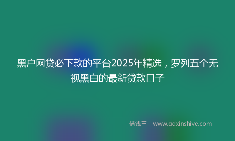 黑户网贷必下款的平台2025年精选，罗列五个无视黑白的最新贷款口子