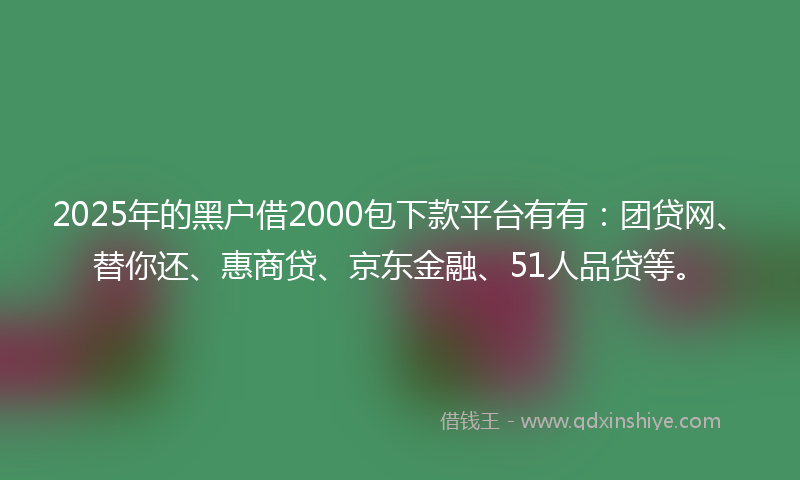 2025年的黑户借2000包下款平台有有：团贷网、替你还、惠商贷、京东金融、51人品贷等。