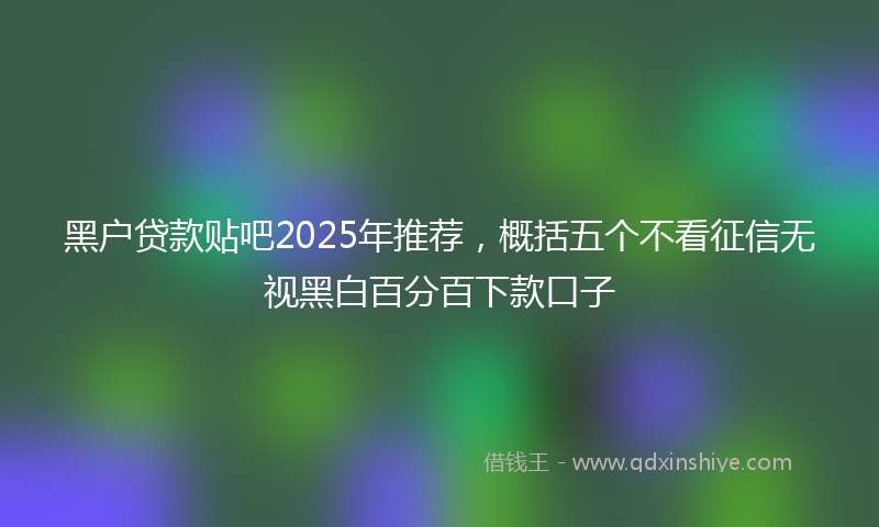 黑户贷款贴吧2025年推荐，概括五个不看征信无视黑白百分百下款口子