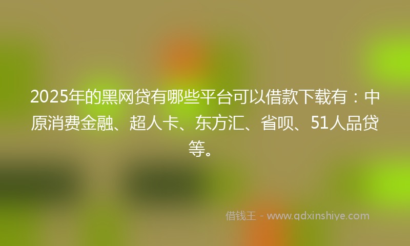 2025年的黑网贷有哪些平台可以借款下载有：中原消费金融、超人卡、东方汇、省呗、51人品贷等。