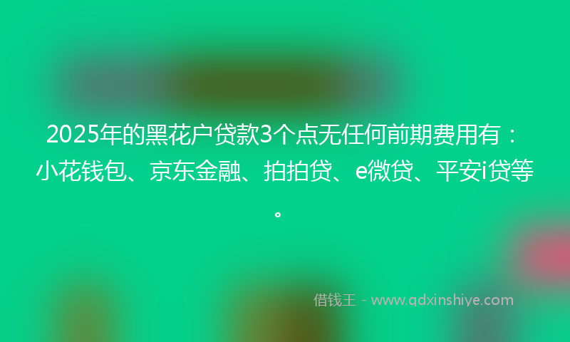 2025年的黑花户贷款3个点无任何前期费用有：小花钱包、京东金融、拍拍贷、e微贷、平安i贷等。