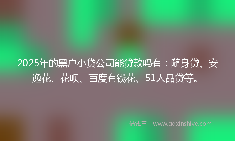 2025年的黑户小贷公司能贷款吗有：随身贷、安逸花、花呗、百度有钱花、51人品贷等。