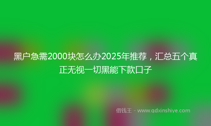 黑户急需2000块怎么办2025年推荐,汇总五个真正无视一切黑能下款口子