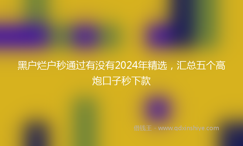 黑户烂户秒通过有没有2024年精选，汇总五个高炮口子秒下款