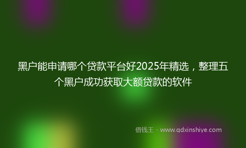 黑户能申请哪个贷款平台好2025年精选，整理五个黑户成功获取大额贷款的软件