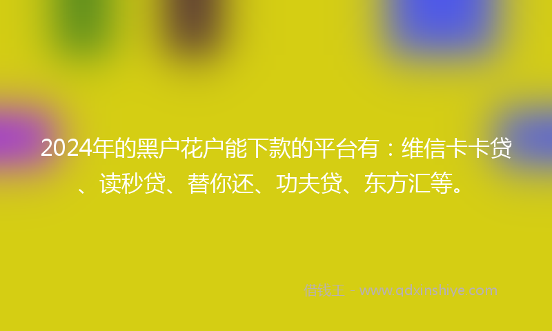 2024年的黑户花户能下款的平台有：维信卡卡贷、读秒贷、替你还、功夫贷、东方汇等。