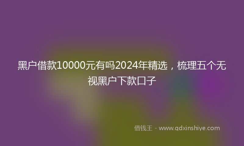 黑户借款10000元有吗2024年精选，梳理五个无视黑户下款口子