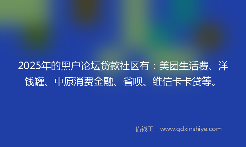 2025年的黑户论坛贷款社区有：美团生活费、洋钱罐、中原消费金融、省呗、维信卡卡贷等。