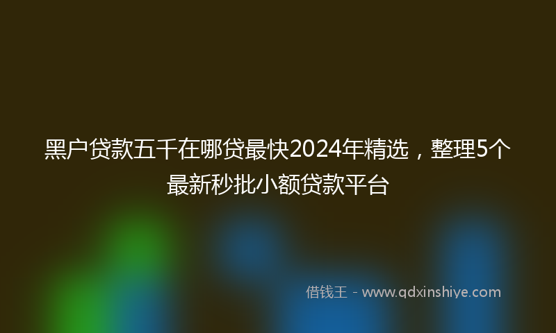 黑户贷款五千在哪贷最快2024年精选，整理5个最新秒批小额贷款平台