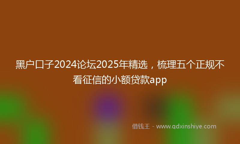 黑户口子2024论坛2025年精选，梳理五个正规不看征信的小额贷款app