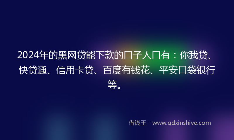 2024年的黑网贷能下款的口子人口有：你我贷、快贷通、信用卡贷、百度有钱花、平安口袋银行等。