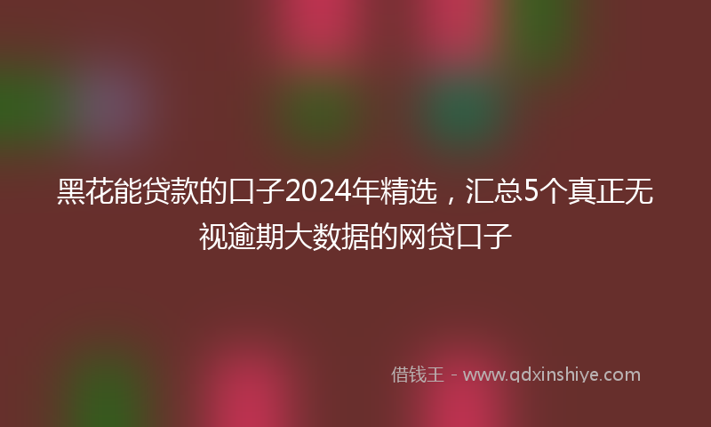 黑花能贷款的口子2024年精选，汇总5个真正无视逾期大数据的网贷口子
