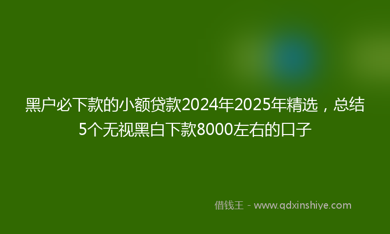 黑户必下款的小额贷款2024年2025年精选，总结5个无视黑白下款8000左右的口子