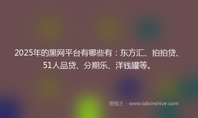 2025年的黑网平台有哪些有：东方汇、拍拍贷、51人品贷、分期乐、洋钱罐等。