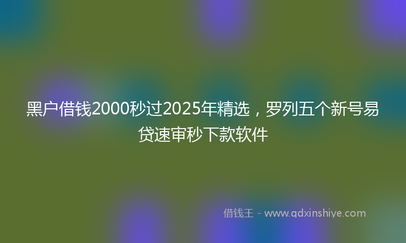 黑户借钱2000秒过2025年精选，罗列五个新号易贷速审秒下款软件
